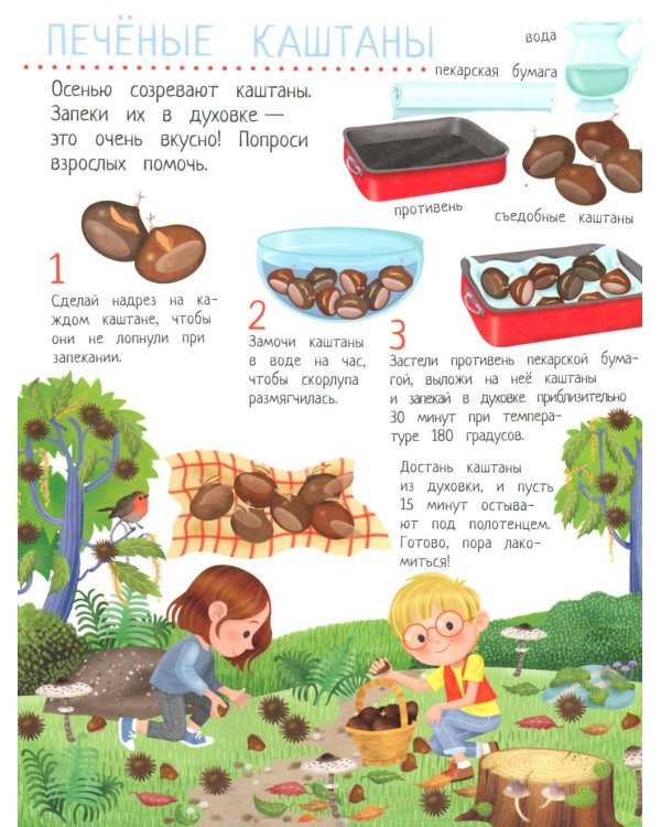 Твой домашний урожай: книга идей и развлечений с наклейками