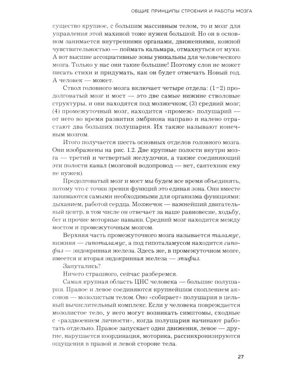 Мозг и его потребности. 2.0 от питания до признания