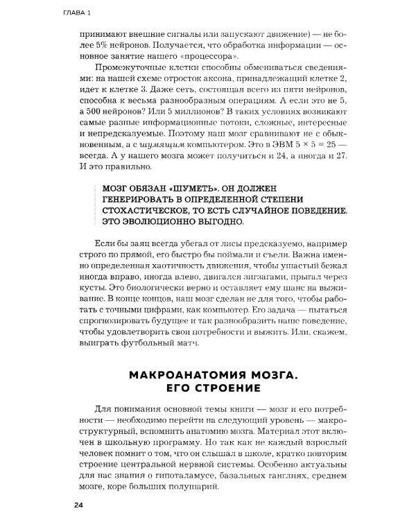 Мозг и его потребности. 2.0 от питания до признания