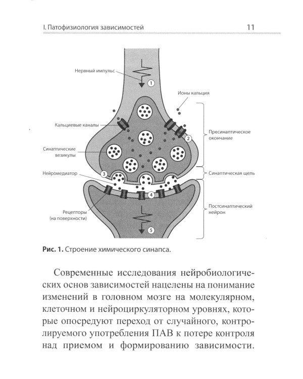 Психофармакотерапия для практикующих наркологов: руководство для врачей