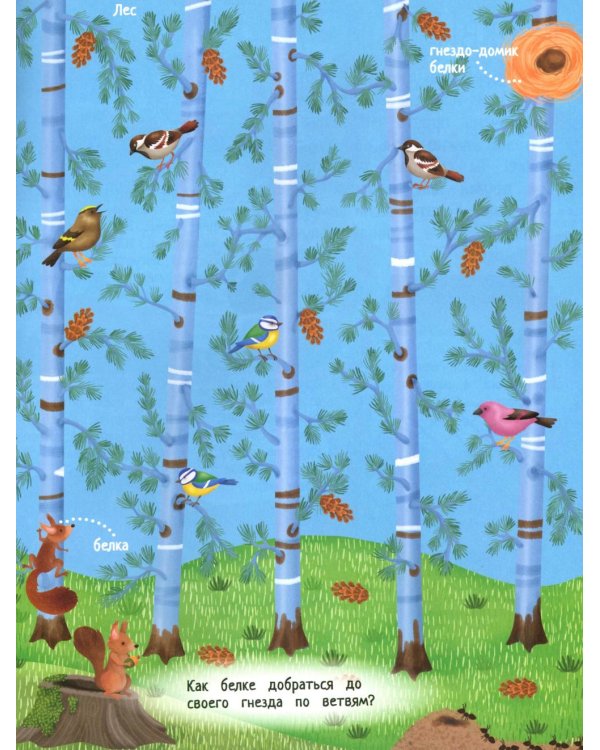 Твой домашний урожай: книга идей и развлечений с наклейками