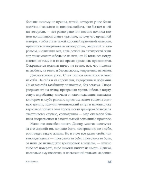 Кульбиты: роман