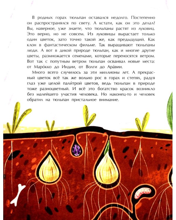 Тюльпан. Цветок султанов и мельников. Вып. 183. 3-е изд