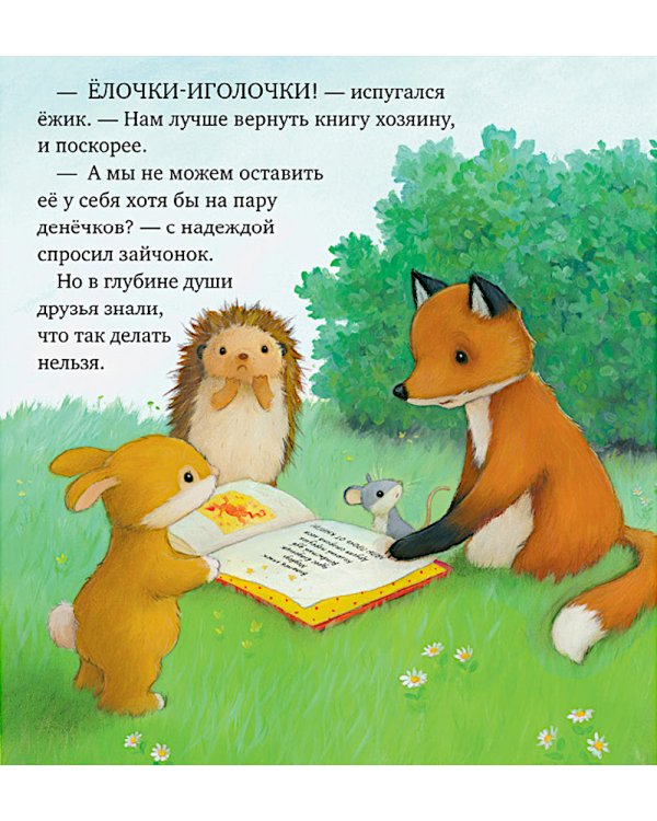 Дом, где живут книги