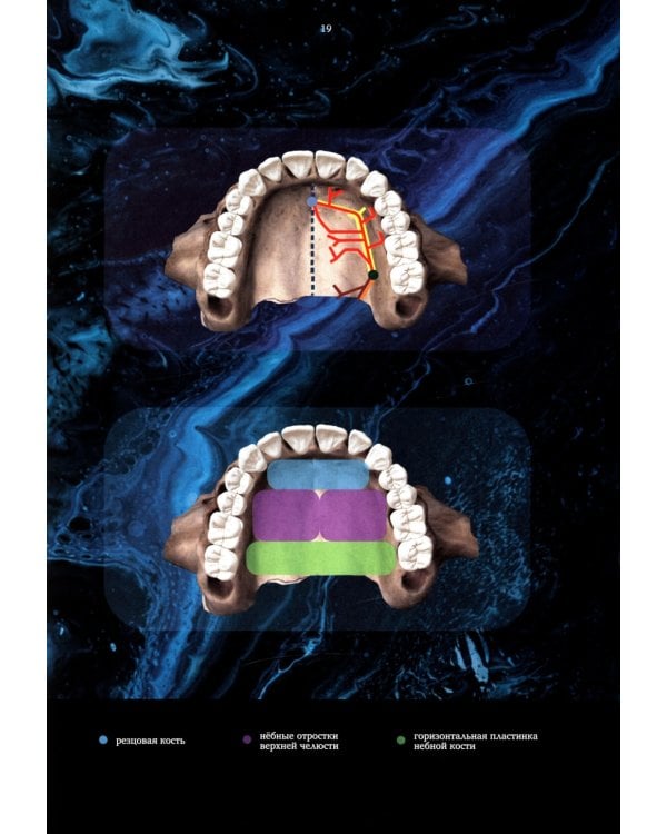 Ортодонтия. Практическое руководство