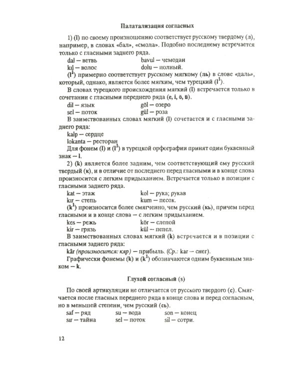 Турецкий язык: Практический курс