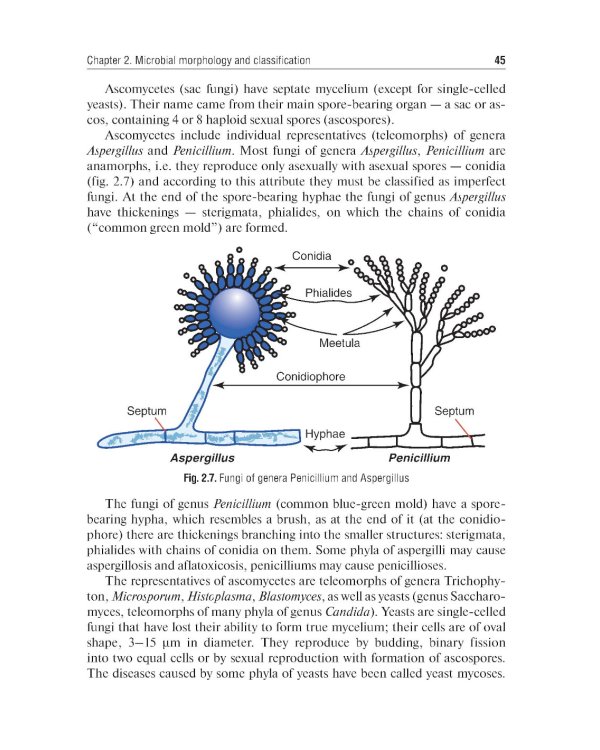Medical Microbiology, Virology, Immunology: textbook: in 2 v. V. 1 = Медицинская микробиология, вирусология, иммунология. В 2 т. Т. 1: Учебник. 2-е из