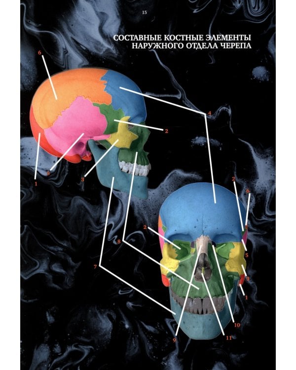 Ортодонтия. Практическое руководство