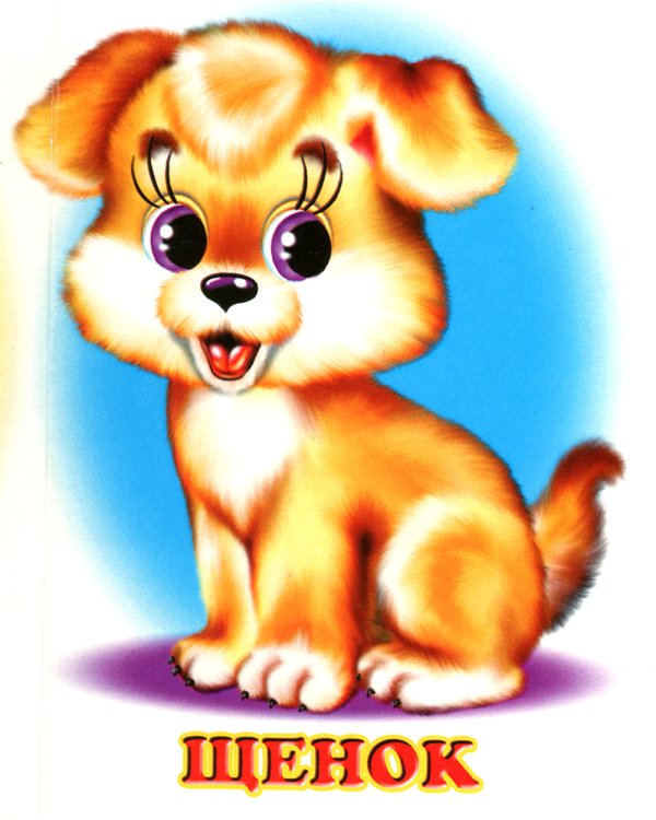 Кто живет в доме?