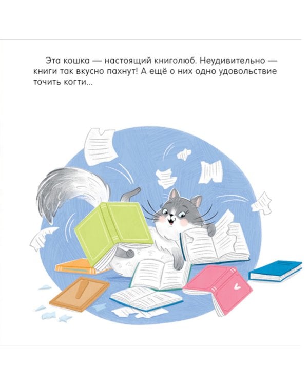 КОТастрофа