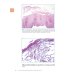 Вместе дешевле Интерпретация биопсий пищеварительного тракта. В 2 т. (комплект из 2 книг)