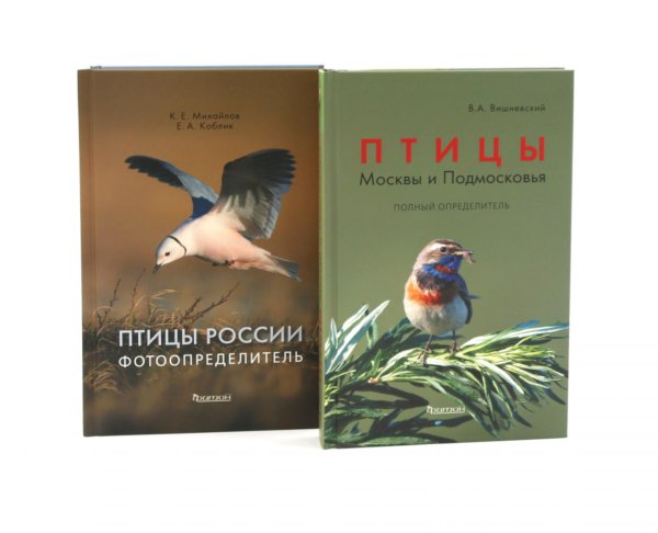 Птицы Москвы и Подмосковья; Птицы России: Фотоопределитель (комплект из 2-х книг)