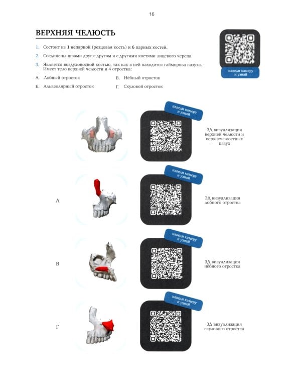 Ортодонтия. Практическое руководство