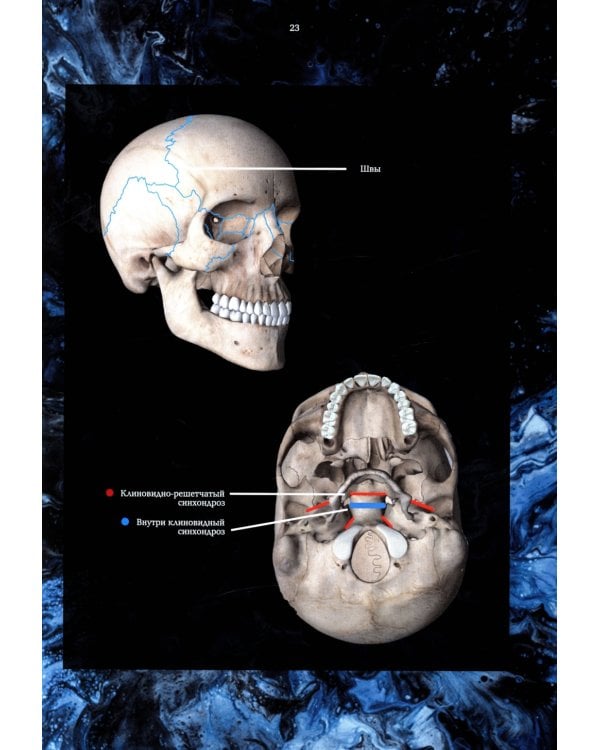 Ортодонтия. Практическое руководство