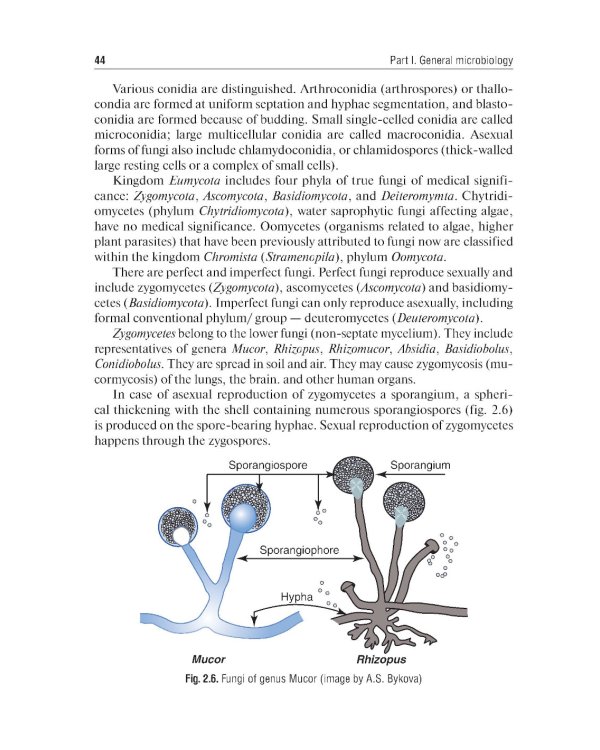 Medical Microbiology, Virology, Immunology: textbook: in 2 v. V. 1 = Медицинская микробиология, вирусология, иммунология. В 2 т. Т. 1: Учебник. 2-е из