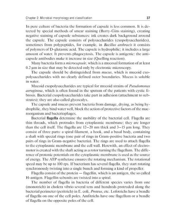 Medical Microbiology, Virology, Immunology: textbook: in 2 v. V. 1 = Медицинская микробиология, вирусология, иммунология. В 2 т. Т. 1: Учебник. 2-е из