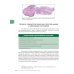 Вместе дешевле Интерпретация биопсий пищеварительного тракта. В 2 т. (комплект из 2 книг)