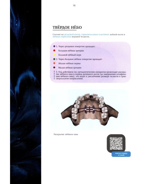 Ортодонтия. Практическое руководство