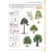 Развиваем связную речь у детей 6-7 лет с ОНР. Альбом 1. Мир растений. 3-е изд., испр