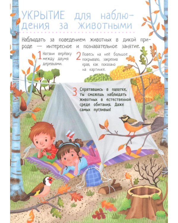 Четыре времени года: книга идей и развлечений с наклейками