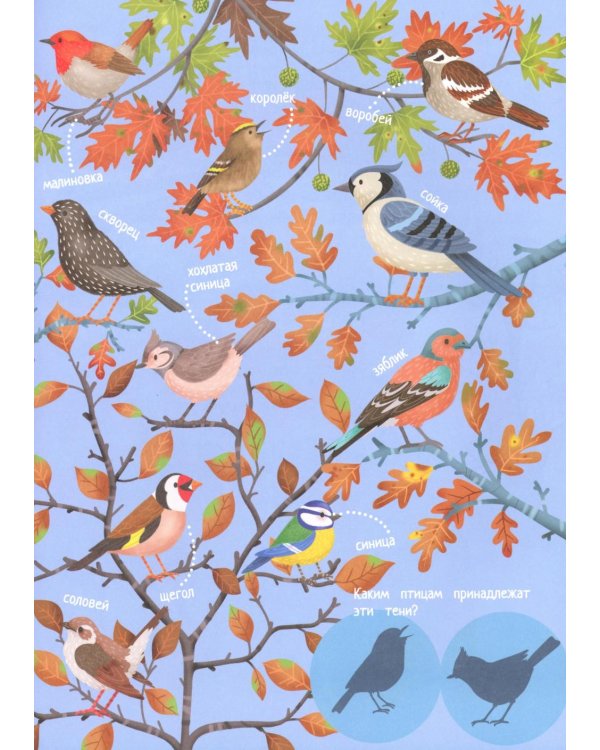 Четыре времени года: книга идей и развлечений с наклейками