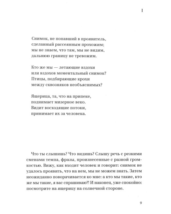 Глазами ящерицы: Дневник чтения одной несуществующей книги