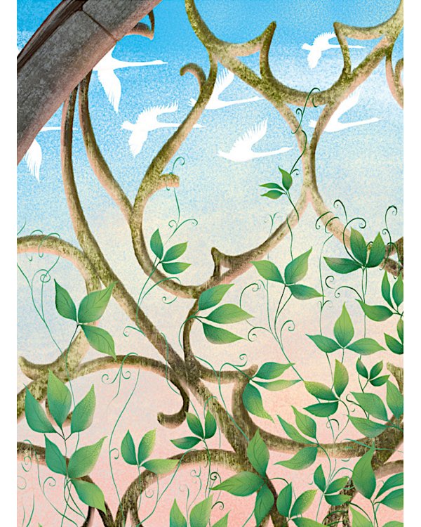 Музыкальный театр. Лебединое озеро