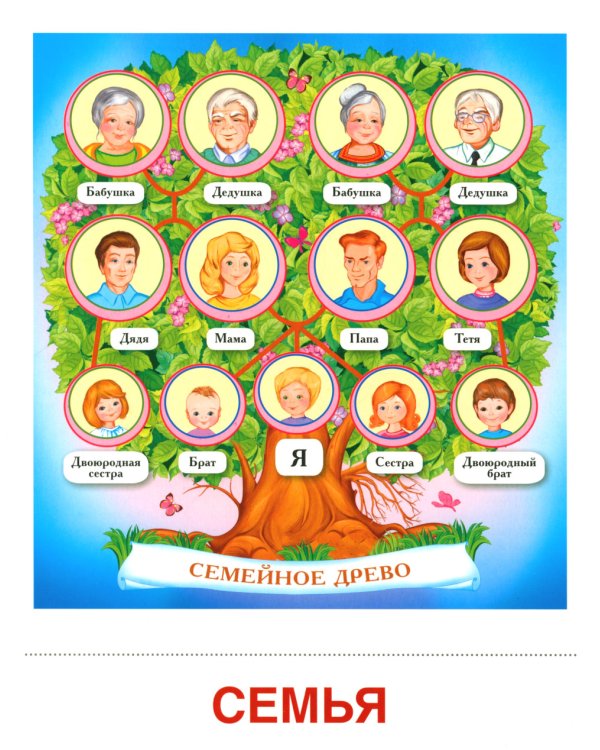 Семья, чувства и эмоции (комплект из 4-х наборов карточек + поощрительные звездочки)