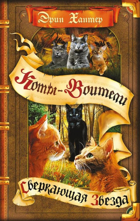 Обложка книги «Коты-воители. Сверкающая Звезда» — Хантер Эрин, ISBN 9785091286106