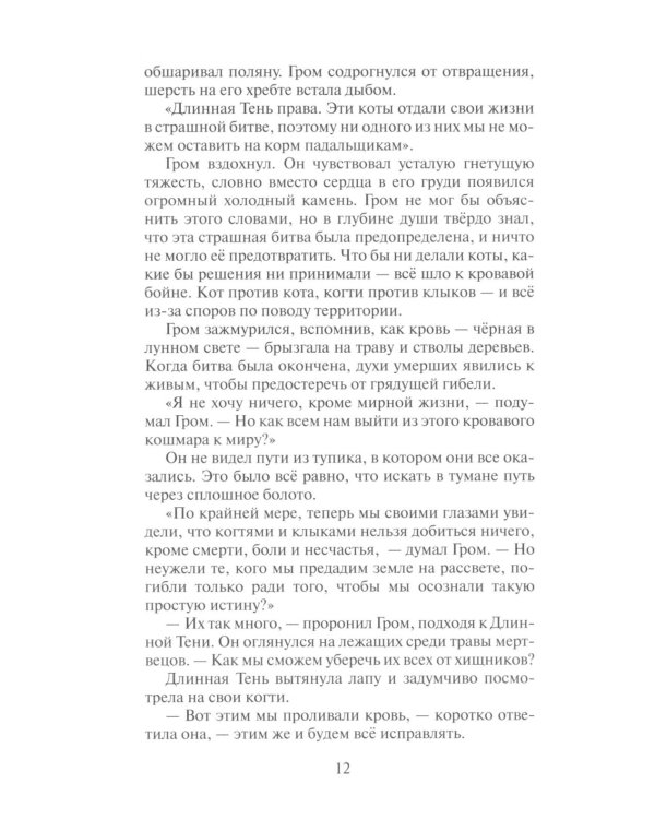 Дополнительное изображение книги «Коты-воители. Сверкающая Звезда»