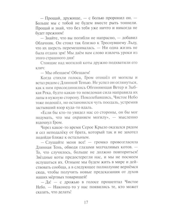 Дополнительное изображение книги «Коты-воители. Сверкающая Звезда»