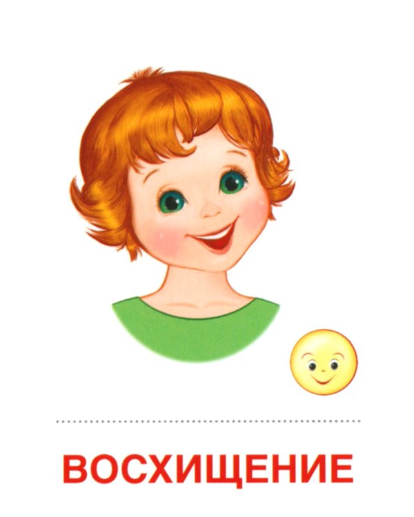 Семья, чувства и эмоции (комплект из 4-х наборов карточек + поощрительные звездочки)