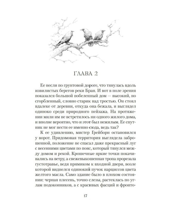Ведьма Вороньего леса: роман