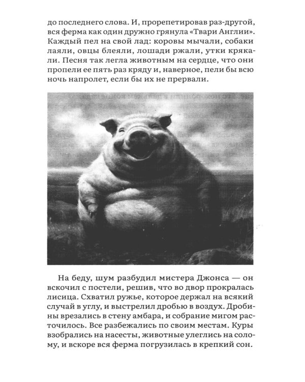 Скотный двор: повесть