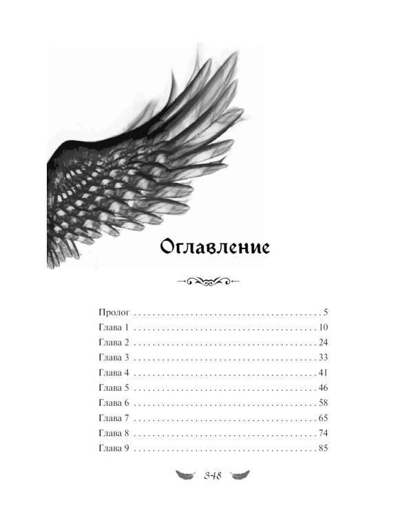 Дополнительное изображение книги «Стражи небес»