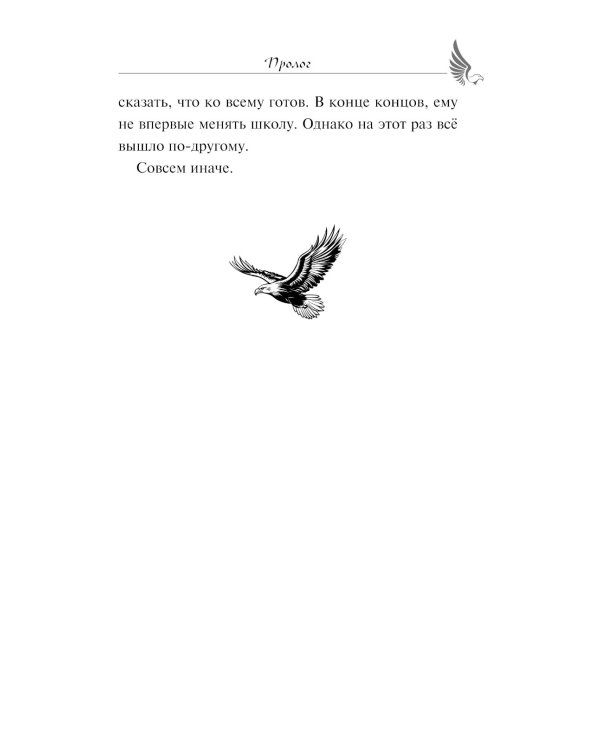Дополнительное изображение книги «Стражи небес»