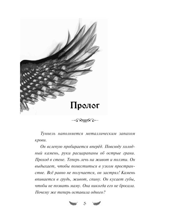 Дополнительное изображение книги «Стражи небес»