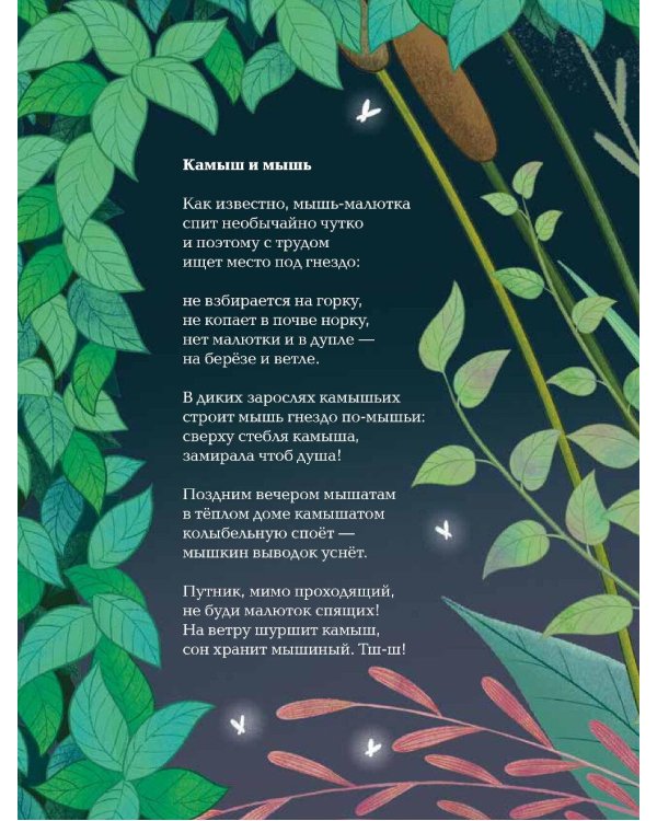Насекомыши. Стихи про насекомых и мышей