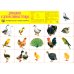 Сфера картинок Комплект картинок "Супер. Птицы: перелетные, зимующие, домашние и декоративные" (количество томов: 8)