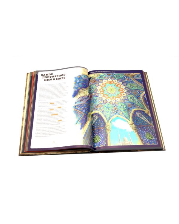 The Last Book. Дневник последнего человека на Земле