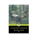Бронзовая птица: пповесть