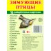 Сфера картинок Комплект картинок "Супер. Птицы: перелетные, зимующие, домашние и декоративные" (количество томов: 8)