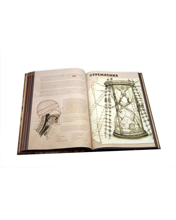 The Last Book. Дневник последнего человека на Земле