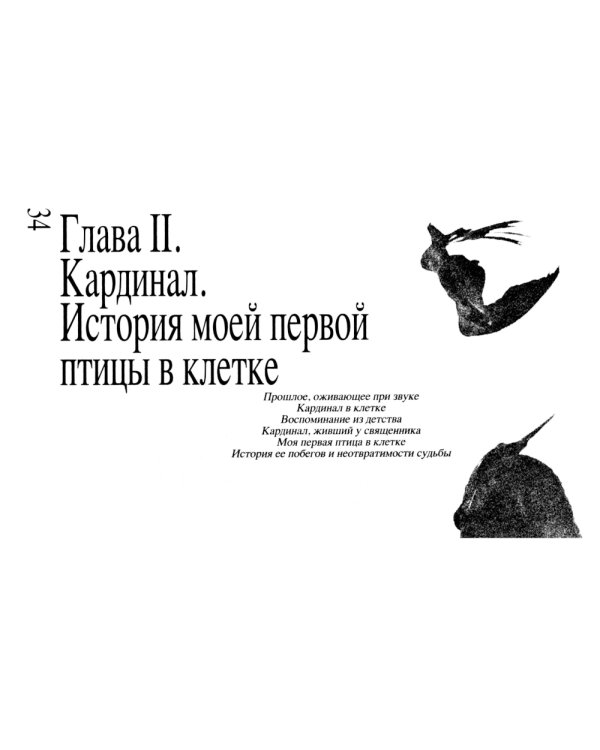 Приключение среди птиц