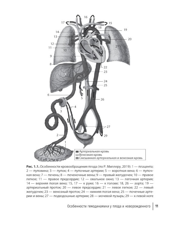 Интенсивная терапия в детской кардиологии и кардиохирургии: руководство для врачей