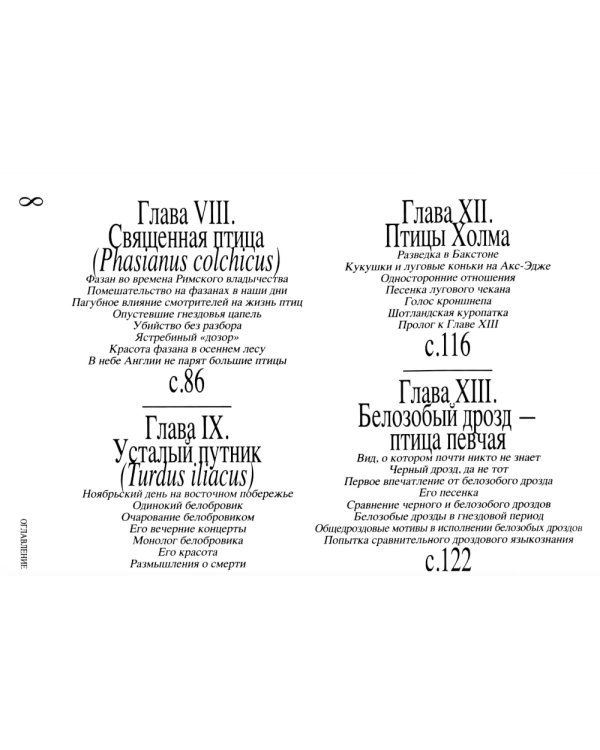 Приключение среди птиц