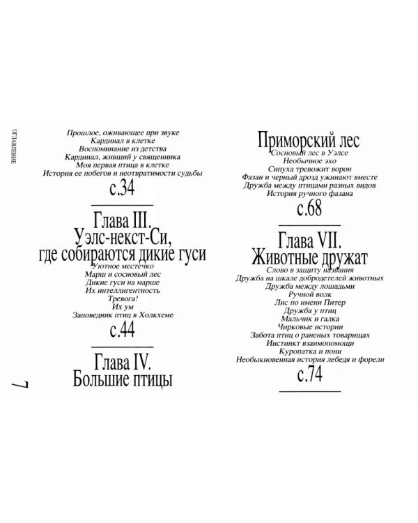 Приключение среди птиц