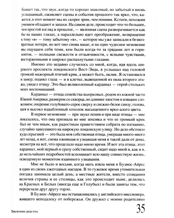 Приключение среди птиц