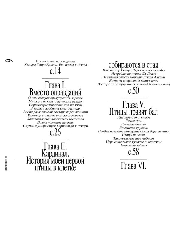 Приключение среди птиц