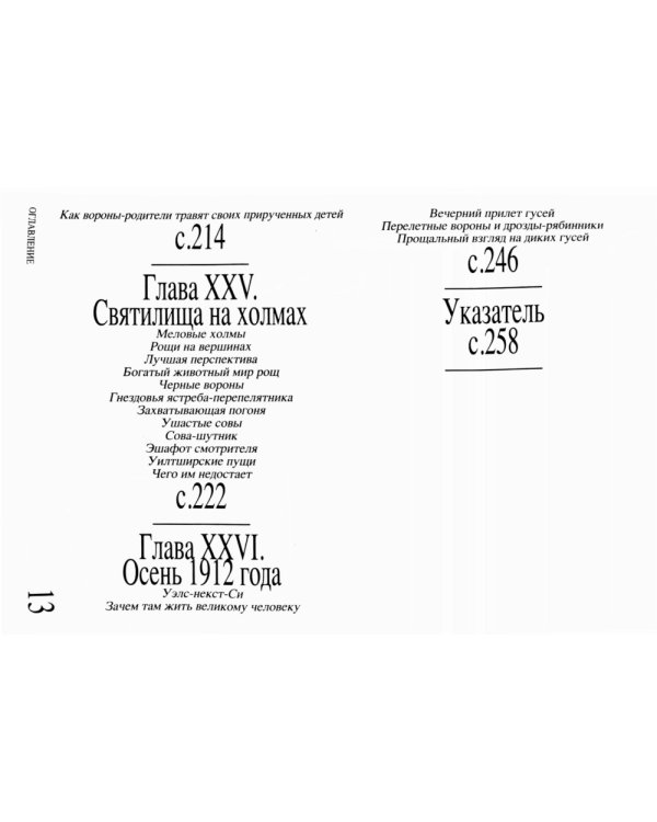 Приключение среди птиц